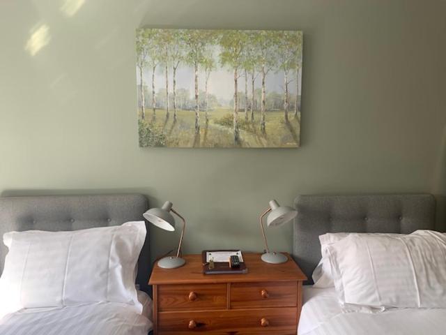 The Firs At Hay-On-Wye B&B 外观 照片