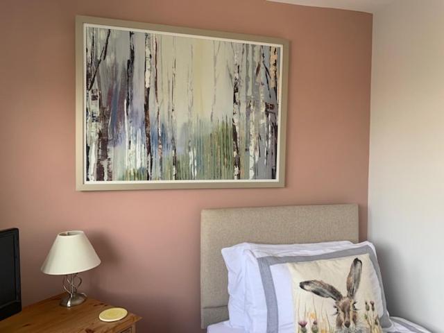 The Firs At Hay-On-Wye B&B 外观 照片