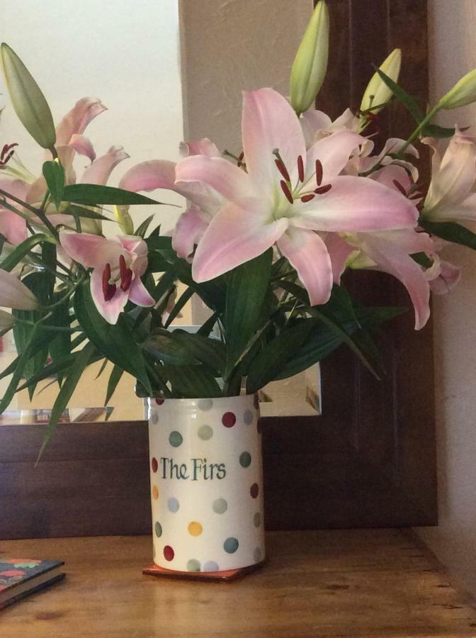 The Firs At Hay-On-Wye B&B 外观 照片